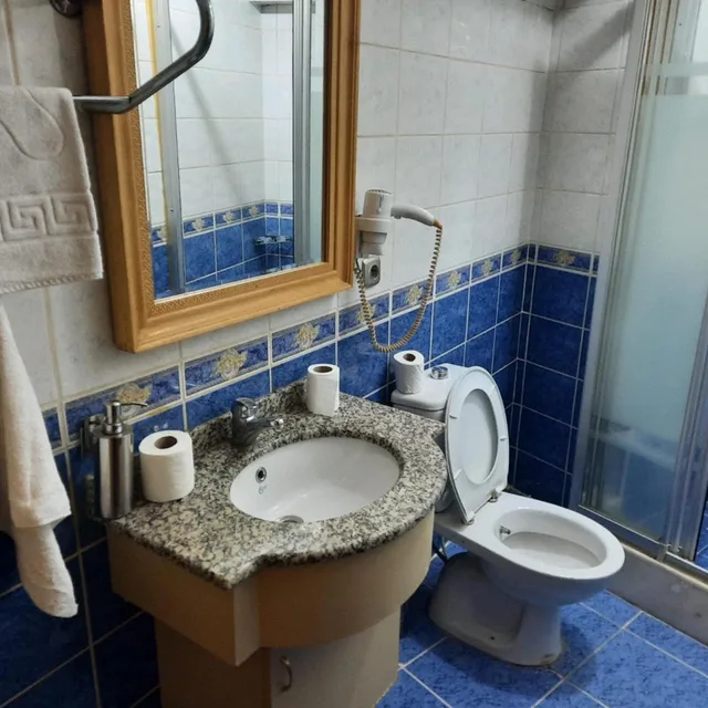 غرفة اقتصادية بسرير مزدوج أو سريرين منفصلين، Grand Hisar Hotel 8/10