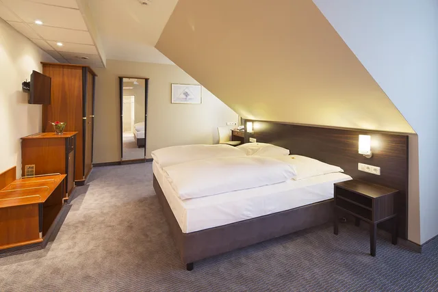غرفة سوبيريور بسرير كينج، Erikson Hotel 1/3