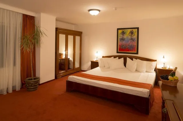 غرفة قياسية بسرير فردي، Piatra Mare 1/10