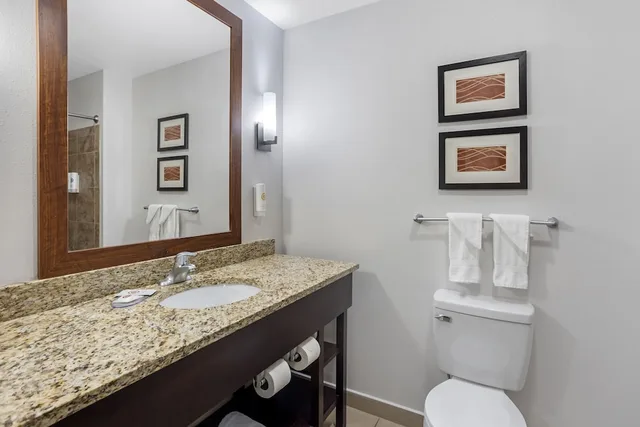 جناح بسرير كينج مع أريكة بجاكوزي، Comfort Inn & Suites Sayre, PA 5/8