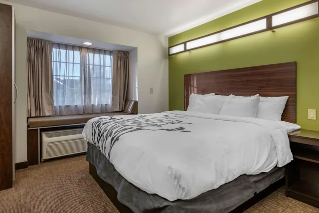 Upgrade, Efficiency, Suite, King Bed، Sleep Inn and Suites Kalamazoo, MI 1/4