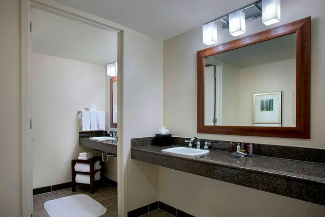 جناح جونيور بسرير كينج، Princeton Marriott At Forrestal 2/3