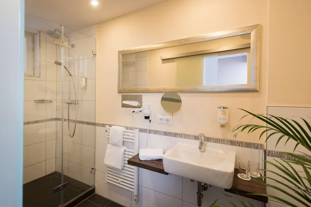 جناح بسرير كينج، Best Western Hotel Lamm 7/7