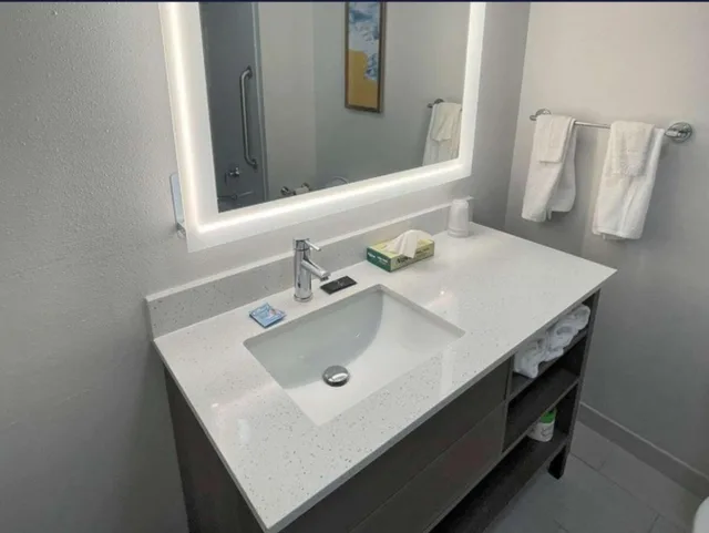 جناح بسرير كوين لذوي الإعاقة، Comfort Suites Mobile-South Alabama University Area 5/5