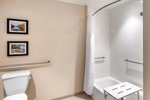 جناح بسرير كينج مع أريكة لذوي الإعاقة، Comfort Inn & Suites Clarkston Pine Knob Area 4/6