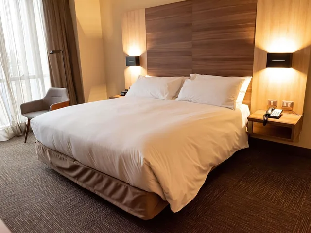 غرفة سوبيريور بسرير كينج، Hotel Costanera Concepcion 3/9