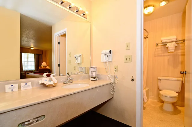 Suite, King Bed, Best Western Horizon Inn 7/7