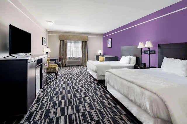 جناح بسريرين كينج، La Quinta Inn and Suites by Wyndham Alamo - McAllen East 1/1
