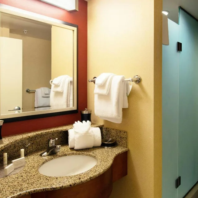 غرفة بسرير كينج مع أريكة بحوض استحمام لذوي الإعاقة، Courtyard by Marriott Canton 2/3