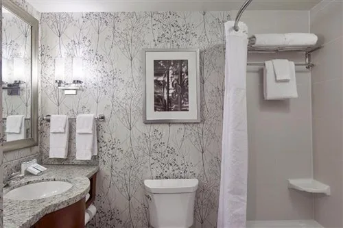 غرفة قياسية بسرير كينج، Hilton Garden Inn Atlanta Midtown 1/1