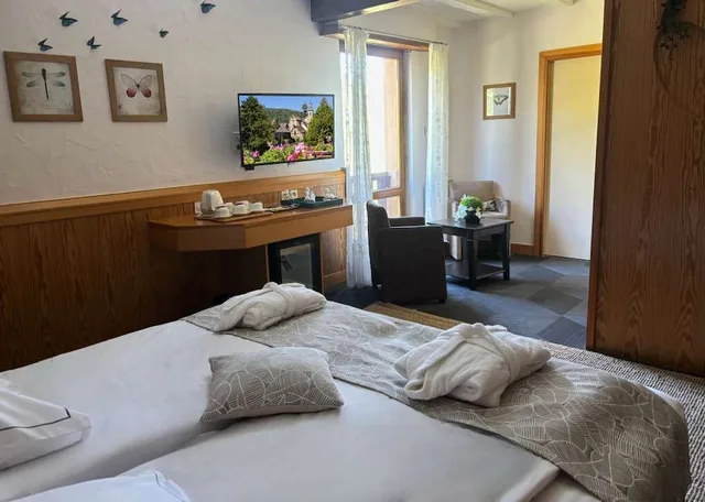 دوبلكس عائلي بخمسة أسرّة بمنطقة جلوس، Best Western Plus Hotel and SPA Le Schoenenbourg 2/5