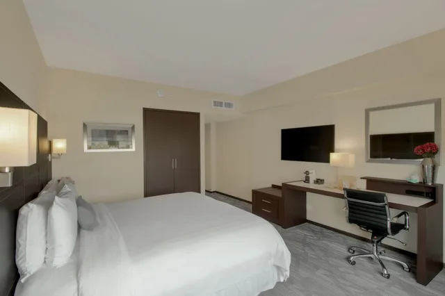 Standard, King Bed, Hotel Novit 1/6
