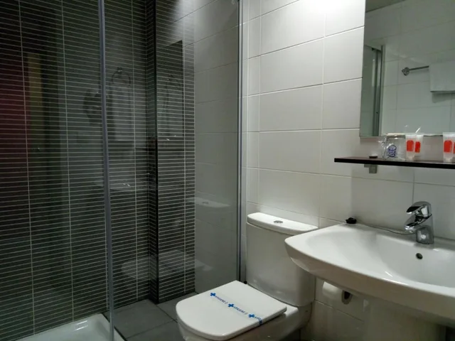 شقة بغرفة نوم واحدة، Apartamentos Casa Palacio de Los Sitios 4/4