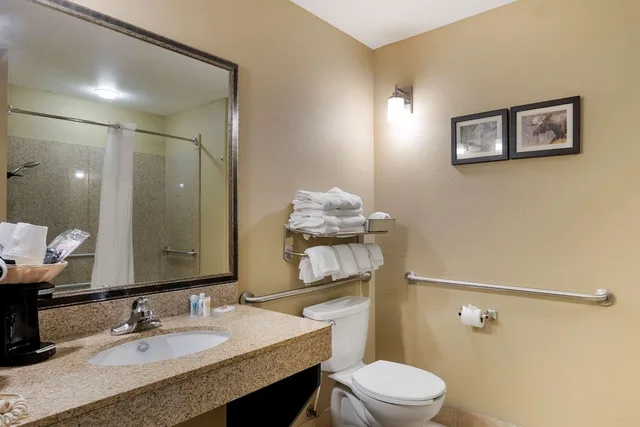 جناح بسرير كينج مع أريكة لذوي الإعاقة، Comfort Suites Anchorage International Airport 3/3