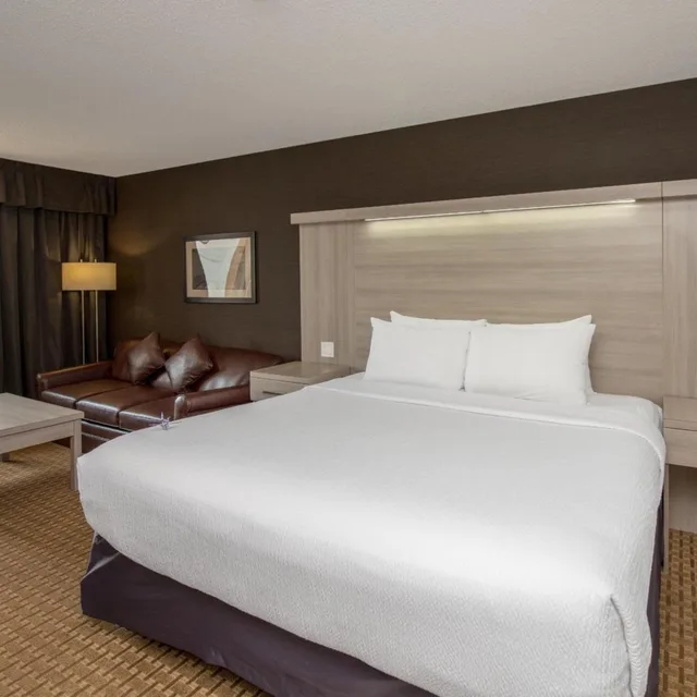 غرفة ديلوكس بسرير كينج، Village Park Inn Calgary 2/5