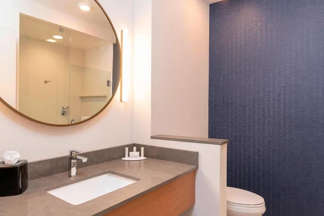 غرفة بسرير كينج، Fairfield Inn And Suites Fair Oaks Farms 9/10