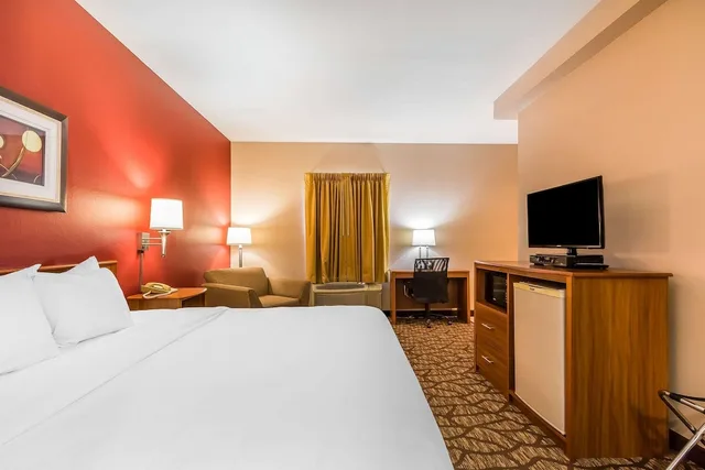غرفة قياسية بسرير كينج، Quality Inn and Suites Chesterfield Village 1/10