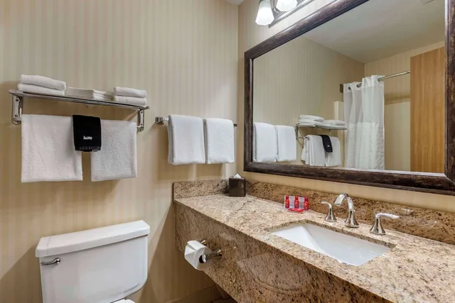 غرفة قياسية بسرير كينج يُسمح فيها بالحيوانات الأليفة، SureStay Plus Hotel by Best Western Buffalo 4/4