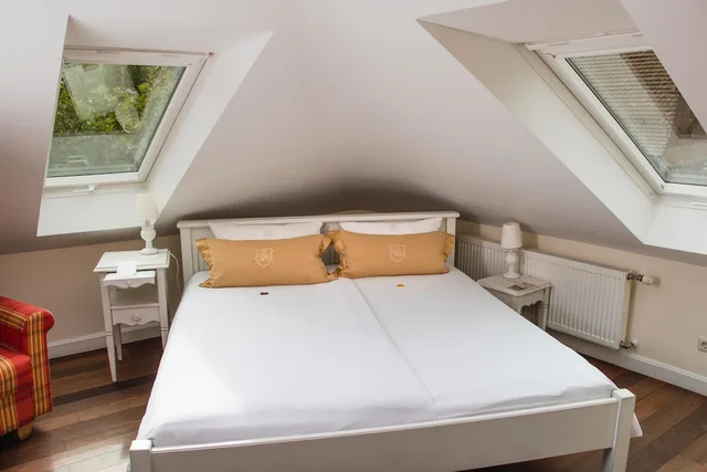 جناح جونيور بسرير مزدوج مع أريكة، Hotel Villa Marstall 1/3