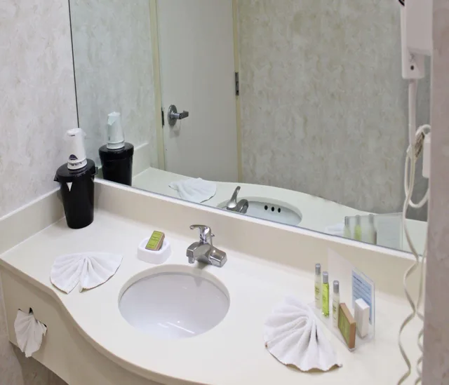 Studio, King Bed, Hampton Inn By Hilton Saltillo 3/3