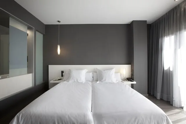 غرفة قياسية بسريرين منفصلين، Hotel Masmonzon 1/10