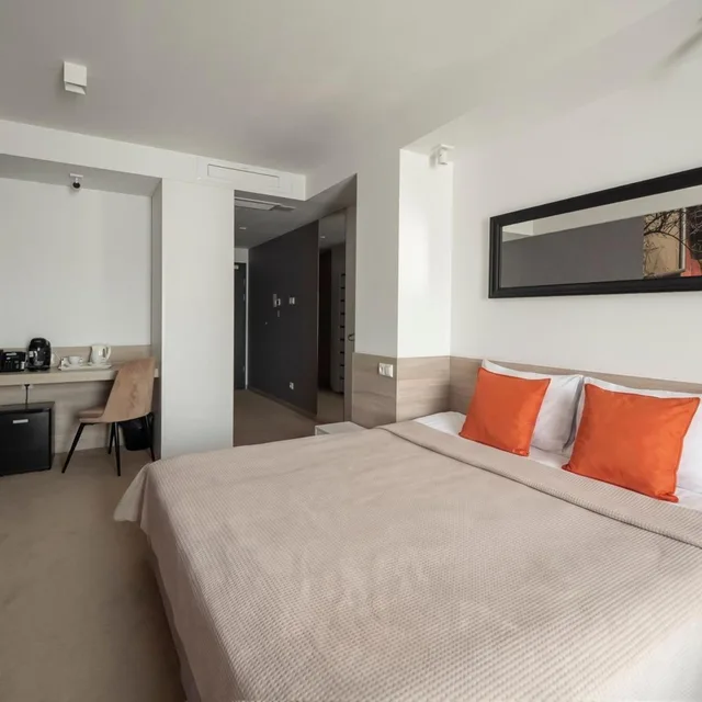 غرفة ديلوكس بسرير مزدوج، Lubhotel 3/6
