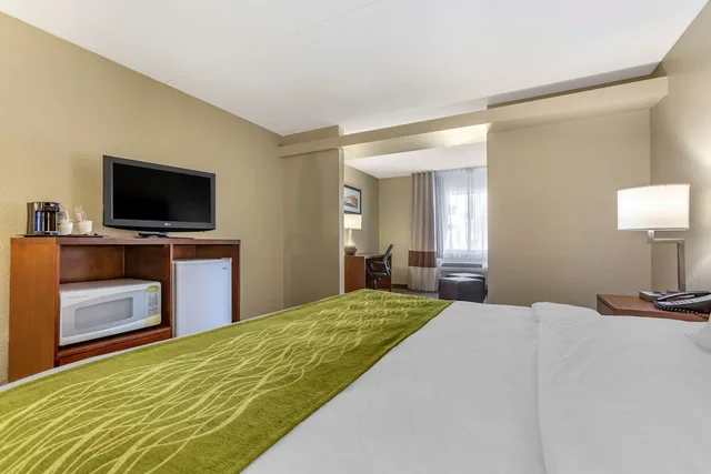 جناح ديلوكس بسرير كينج مع أريكة، Comfort Inn & Suites Phoenix North / Deer Valley 2/4