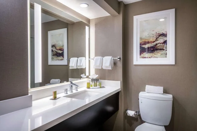 جناح جونيور بسرير كينج مع أريكة، DoubleTree by Hilton Hotel Los Angeles Norwalk 4/6