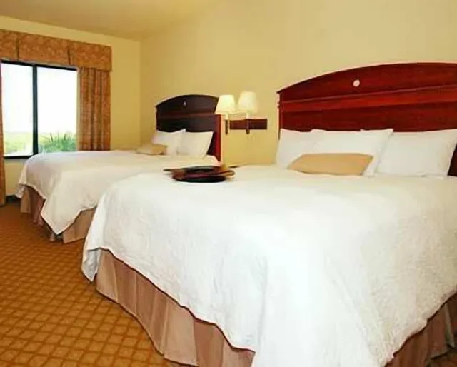 جناح استوديو بسريرين كوين مع أريكة، Hampton Inn & Suites Pharr, TX 5/10