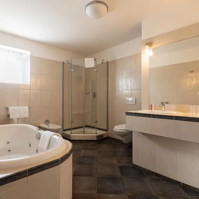 جناح جونيور تنفيذي بسرير كينج، Hotel Hoffmeister and Spa 8/8