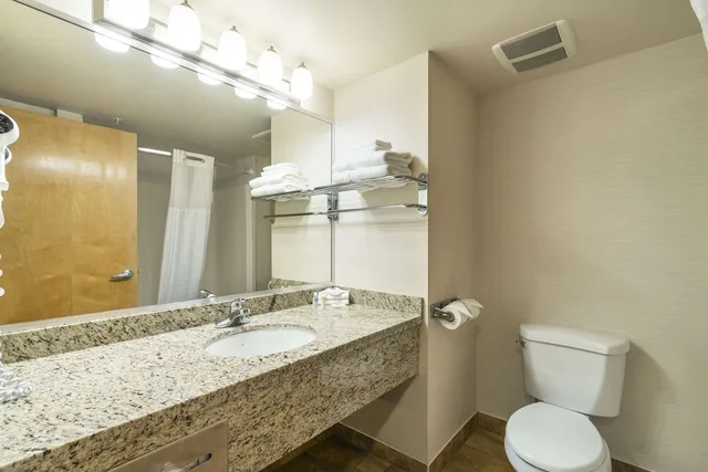 جناح بسرير كينج مع أريكة، Comfort Inn & Suites Surrey 2/2