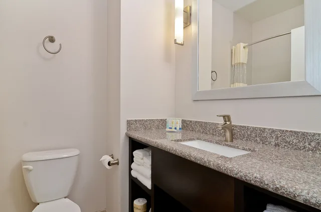 جناح بسرير كينج مع أريكة، Quality Inn & Suites Bryan-College Station 1/1
