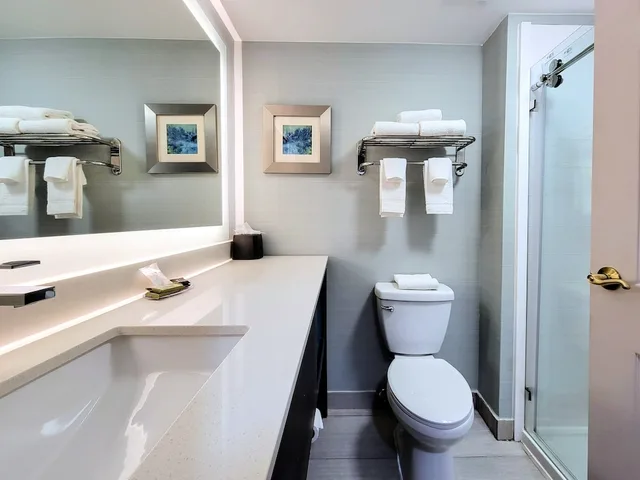 Suite, King Bed, Living and Dining Areas, Holliday Inn Belcamp Aberdeen Area Ex Wingate By Wyndham Aberdeen Edgewood 7/10