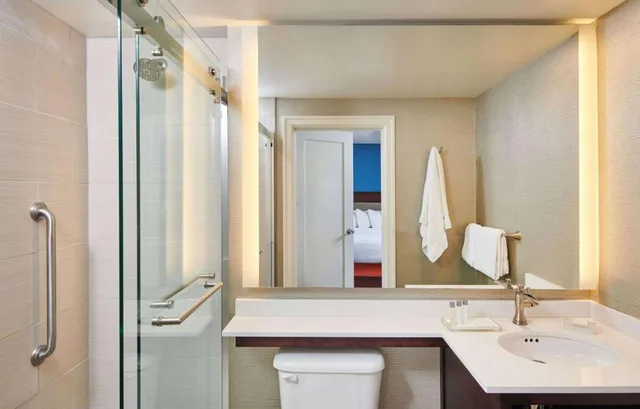 غرفة مفردة بسرير كينج مع أريكة بحوض جاكوزي، Hotel Alex Johnson Rapid City Curio Collection By Hilton 2/6
