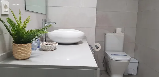 بنغل سوبيريور، Palmeras Garden 5/7