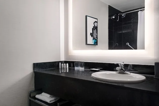 1 Bedroom, Junior Suite, King Bed, Sofa, Accessible, Delta by Marriott Hotels Woodbridge 2/2