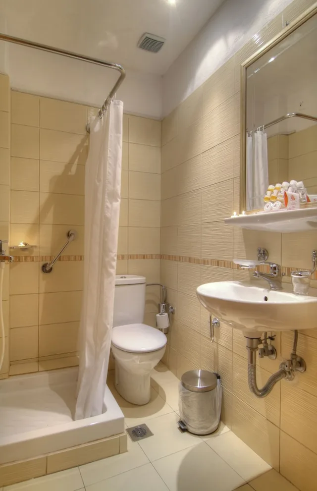 غرفة قياسية مفردة بسرير مزدوج، Acropole Delphi Hotel 7/9