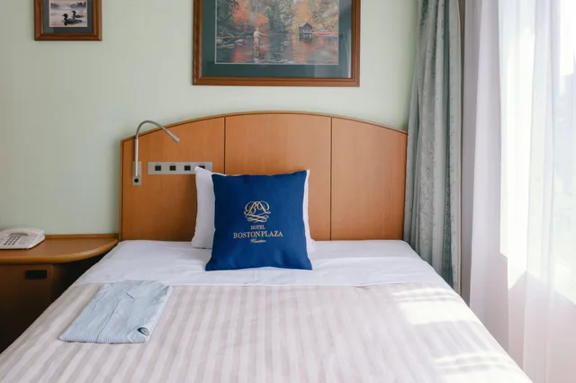 Great, Standard, Single, North Wing، Hotel Boston Plaza Kusatsu 2/2
