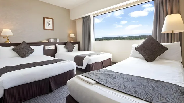غرفة قياسية ثلاثية، Hotel Francs 1/1