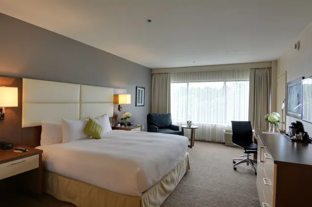 غرفة كلاسيكية بسرير كينج لذوي الإعاقة، DoubleTree by Hilton Williamsburg 2/8