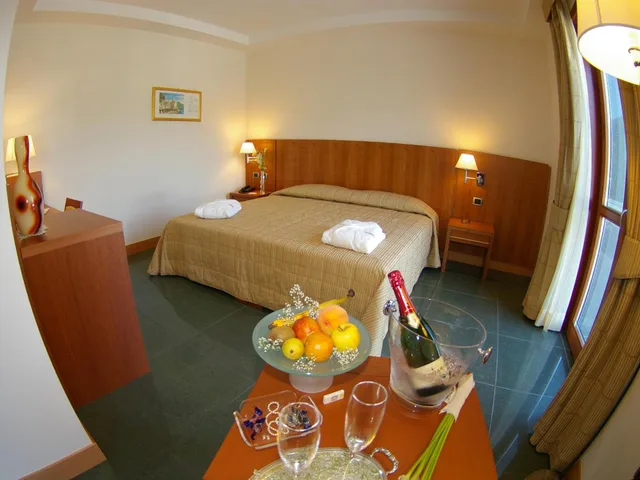 غرفة سوبيريور مفردة بسرير مزدوج، Hotel Dei Principati 6/8