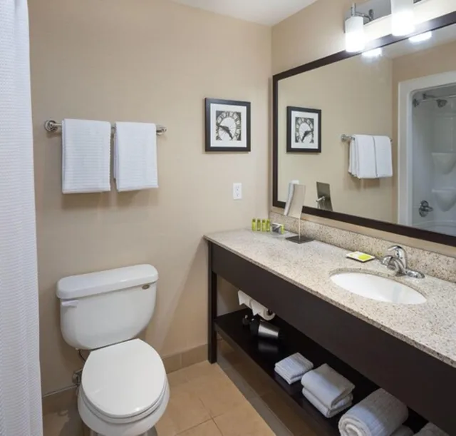 Suite, Queen Bed, Delta Hotels by Marriott Guelph Conference Centre 4/6
