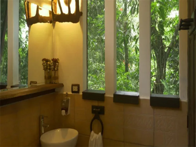 Tree House, 2 Queen Beds, Mountain View، Maquenque Eco-Lodge 9/9