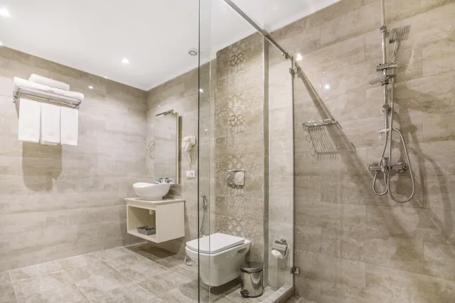 غرفة قياسية بسرير مزدوج، Gold Tbilisi Hotel 9/9