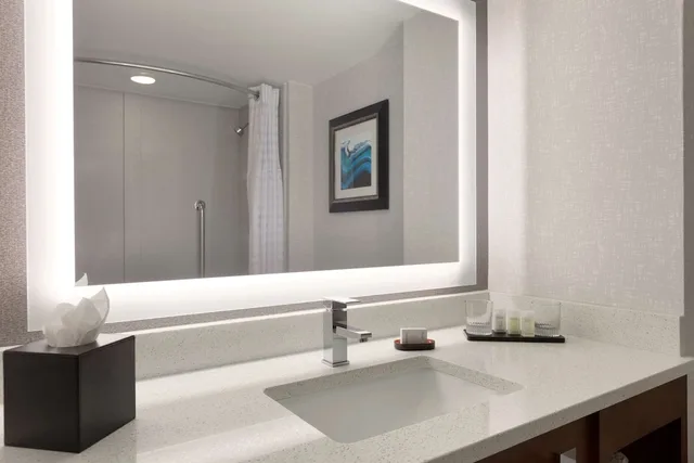 جناح أساسي بسرير كينج مع أريكة، Embassy Suites by Hilton Atlanta Airport 3/3