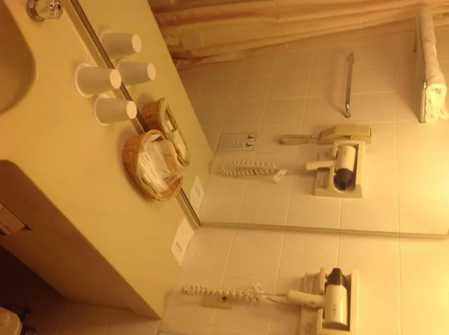 غرفة قياسية بسرير كينج، Narita Gateway Hotel 8/8