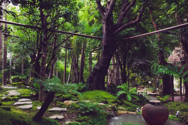 غرفة تُحدَّد عند الوصول، Tree Scape Retreat Resort 1/1