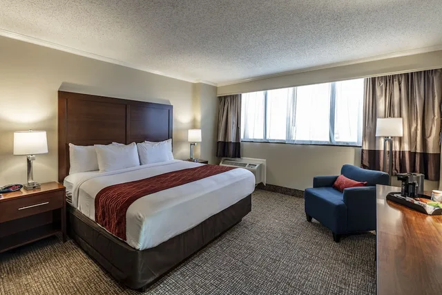 غرفة قياسية بسرير كينج، Comfort Inn and Suites At Copeland Tower 3/5