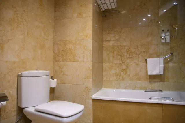 غرفة سوبيريور بسرير مزدوج، Hotel Palacio de Tudemir 7/7