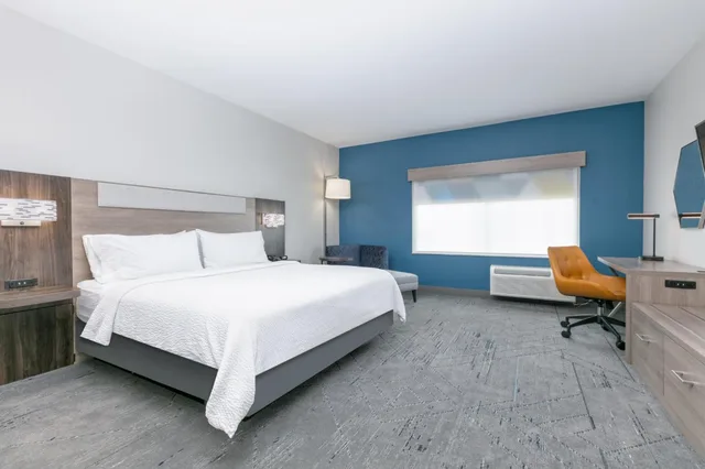 Xtra Space, Standard, King Bed، Holiday Inn Express & Suites - Dallas Plano North, an IHG Hotel 1/9